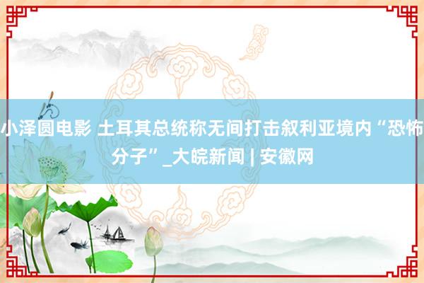小泽圆电影 土耳其总统称无间打击叙利亚境内“恐怖分子”_大皖新闻 | 安徽网