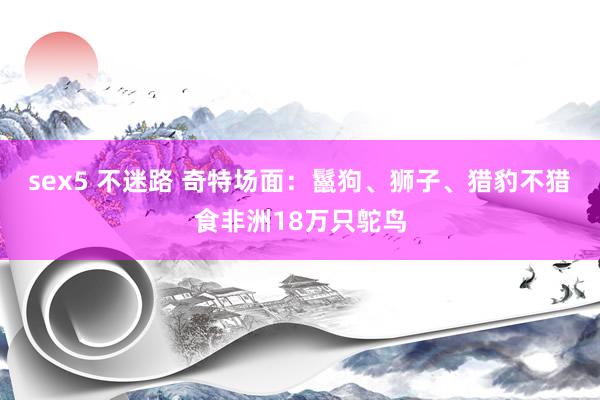 sex5 不迷路 奇特场面：鬣狗、狮子、猎豹不猎食非洲18万只鸵鸟