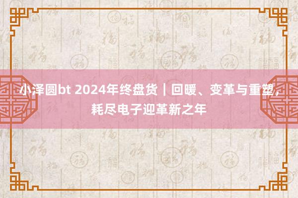 小泽圆bt 2024年终盘货｜回暖、变革与重塑，耗尽电子迎革新之年