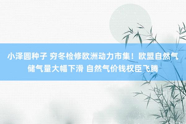 小泽圆种子 穷冬检修欧洲动力市集！欧盟自然气储气量大幅下滑 自然气价钱权臣飞腾
