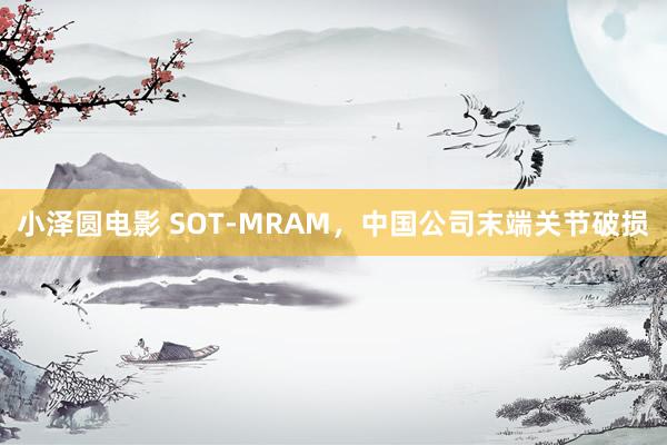 小泽圆电影 SOT-MRAM，中国公司末端关节破损