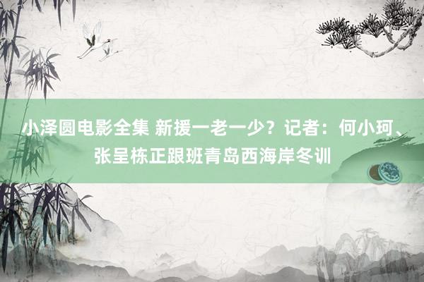 小泽圆电影全集 新援一老一少？记者：何小珂、张呈栋正跟班青岛西海岸冬训