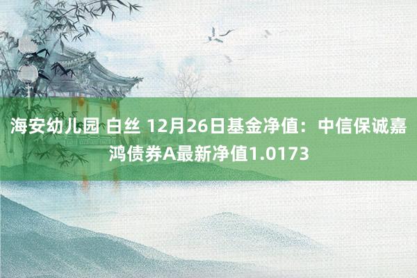 海安幼儿园 白丝 12月26日基金净值：中信保诚嘉鸿债券A最新净值1.0173