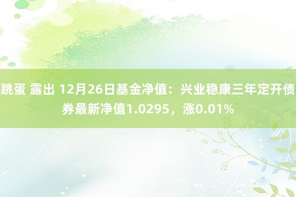 跳蛋 露出 12月26日基金净值：兴业稳康三年定开债券最新净值1.0295，涨0.01%