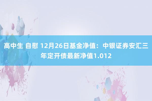 高中生 自慰 12月26日基金净值：中银证券安汇三年定开债最新净值1.012