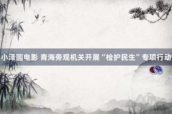 小泽圆电影 青海旁观机关开展“检护民生”专项行动
