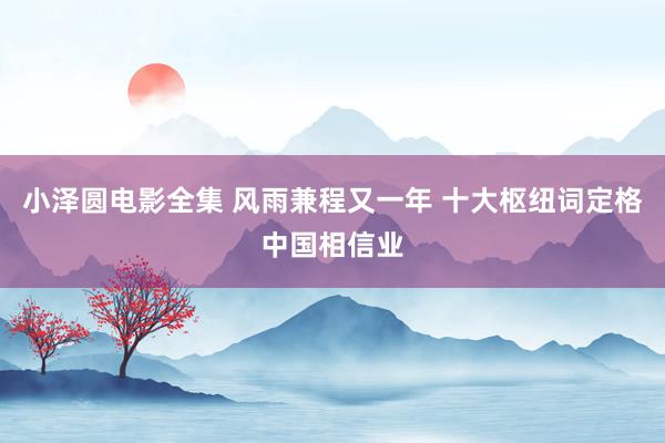 小泽圆电影全集 风雨兼程又一年 十大枢纽词定格中国相信业