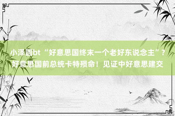 小泽圆bt “好意思国终末一个老好东说念主”？好意思国前总统卡特殒命！见证中好意思建交