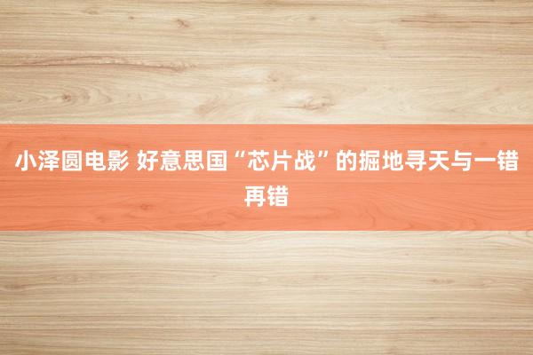 小泽圆电影 好意思国“芯片战”的掘地寻天与一错再错