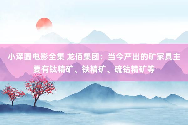 小泽圆电影全集 龙佰集团：当今产出的矿家具主要有钛精矿、铁精矿、硫钴精矿等