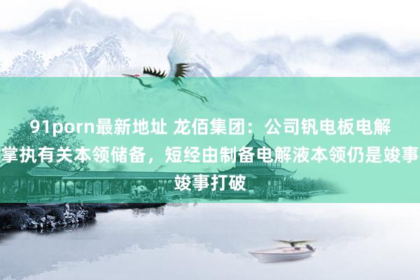 91porn最新地址 龙佰集团：公司钒电板电解液已掌执有关本领储备，短经由制备电解液本领仍是竣事打破