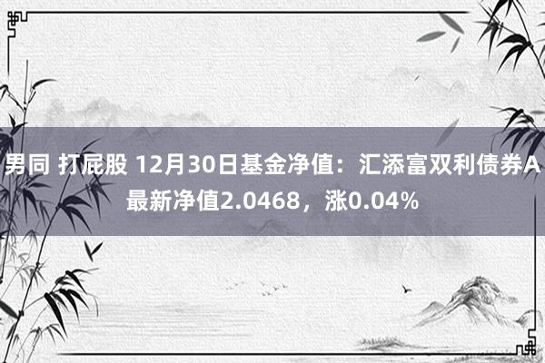 男同 打屁股 12月30日基金净值：汇添富双利债券A最新净值2.0468，涨0.04%