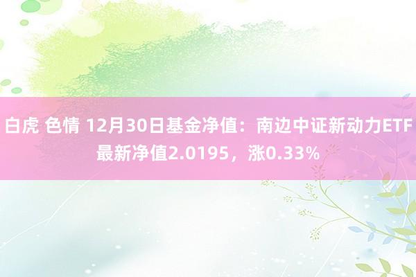 白虎 色情 12月30日基金净值：南边中证新动力ETF最新净值2.0195，涨0.33%