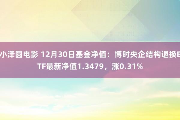 小泽圆电影 12月30日基金净值：博时央企结构退换ETF最新净值1.3479，涨0.31%