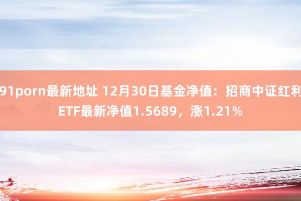 91porn最新地址 12月30日基金净值：招商中证红利ETF最新净值1.5689，涨1.21%