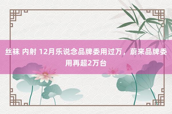 丝袜 内射 12月乐说念品牌委用过万，蔚来品牌委用再超2万台