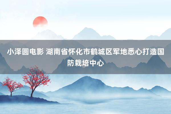 小泽圆电影 湖南省怀化市鹤城区军地悉心打造国防栽培中心