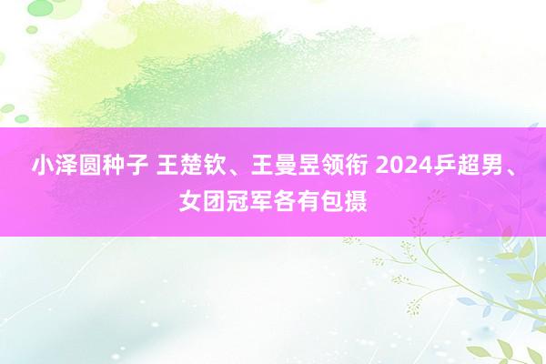 小泽圆种子 王楚钦、王曼昱领衔 2024乒超男、女团冠军各有包摄
