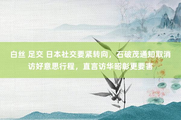 白丝 足交 日本社交要紧转向，石破茂通知取消访好意思行程，直言访华昭彰更要害