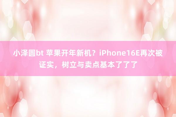 小泽圆bt 苹果开年新机？iPhone16E再次被证实，树立与卖点基本了了了