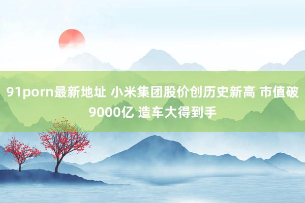 91porn最新地址 小米集团股价创历史新高 市值破9000亿 造车大得到手