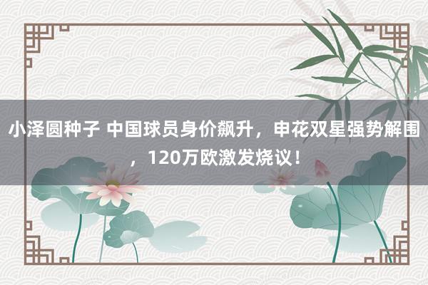 小泽圆种子 中国球员身价飙升，申花双星强势解围，120万欧激发烧议！