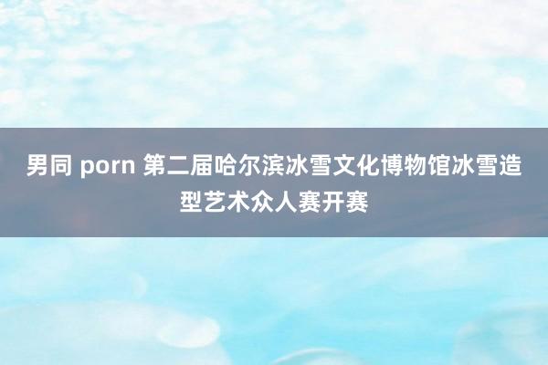 男同 porn 第二届哈尔滨冰雪文化博物馆冰雪造型艺术众人赛开赛