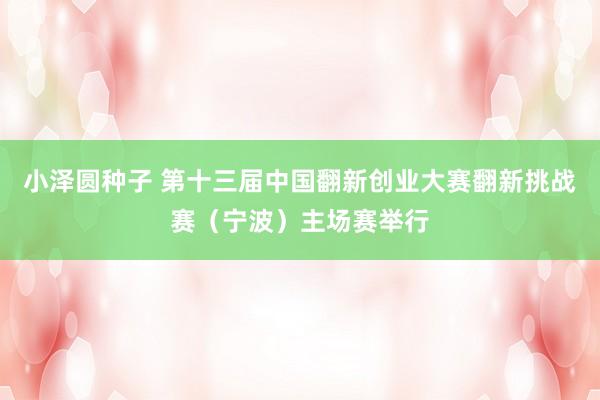 小泽圆种子 第十三届中国翻新创业大赛翻新挑战赛（宁波）主场赛举行