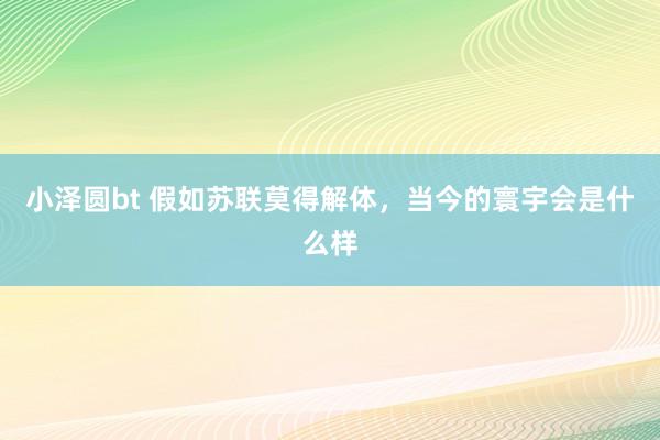 小泽圆bt 假如苏联莫得解体，当今的寰宇会是什么样
