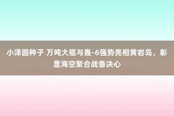 小泽圆种子 万吨大驱与轰-6强势亮相黄岩岛，彰显海空聚合战备决心