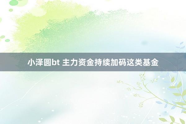 小泽圆bt 主力资金持续加码这类基金