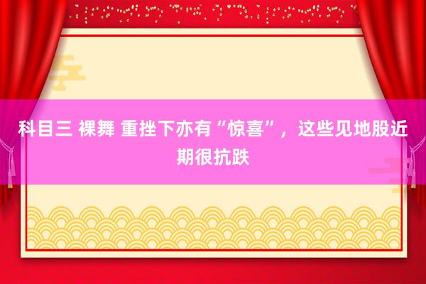 科目三 裸舞 重挫下亦有“惊喜”，这些见地股近期很抗跌
