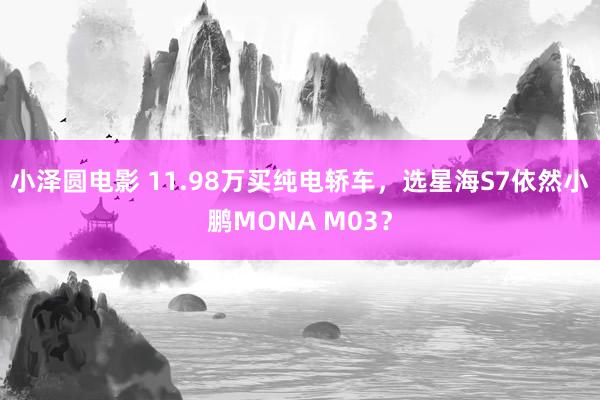 小泽圆电影 11.98万买纯电轿车，选星海S7依然小鹏MONA M03？