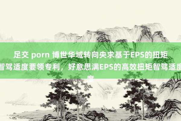 足交 porn 博世华域转向央求基于EPS的扭矩智驾适度要领专利，好意思满EPS的高效扭矩智驾适度