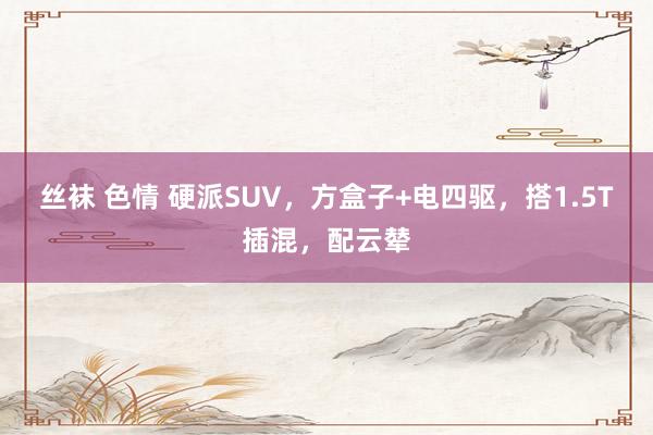 丝袜 色情 硬派SUV，方盒子+电四驱，搭1.5T插混，配云辇