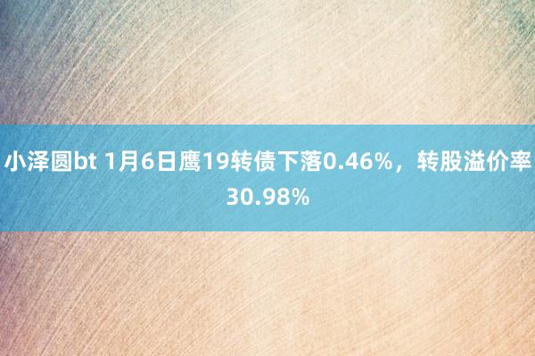 小泽圆bt 1月6日鹰19转债下落0.46%，转股溢价率30.98%