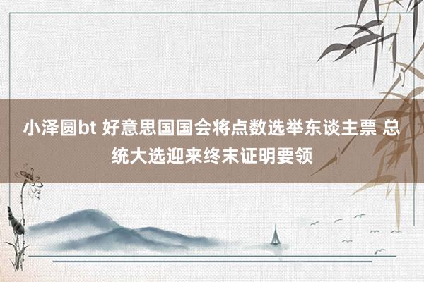 小泽圆bt 好意思国国会将点数选举东谈主票 总统大选迎来终末证明要领