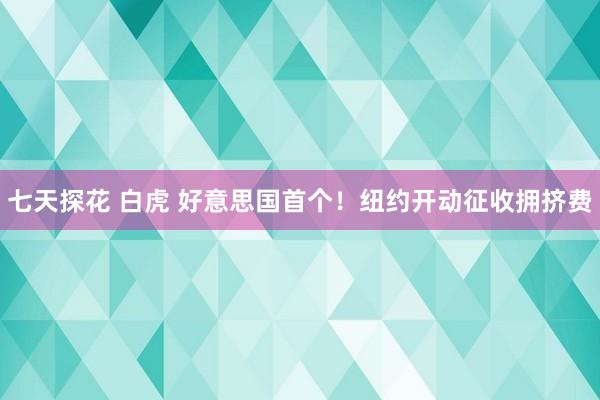 七天探花 白虎 好意思国首个！纽约开动征收拥挤费