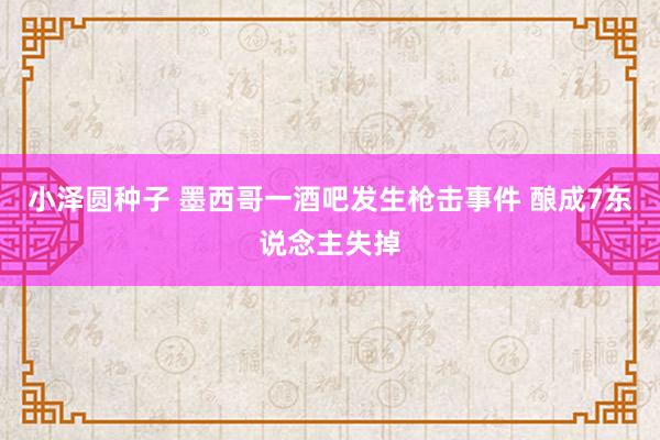 小泽圆种子 墨西哥一酒吧发生枪击事件 酿成7东说念主失掉