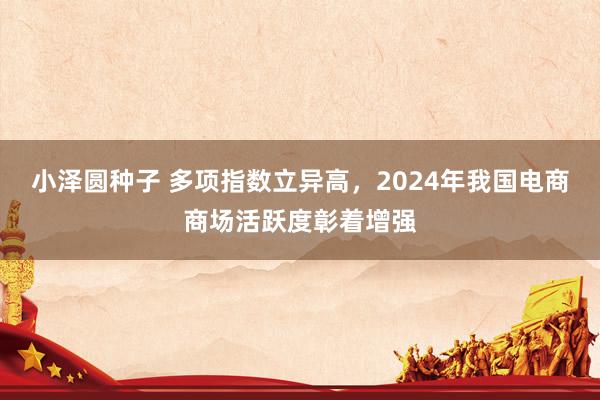 小泽圆种子 多项指数立异高，2024年我国电商商场活跃度彰着增强