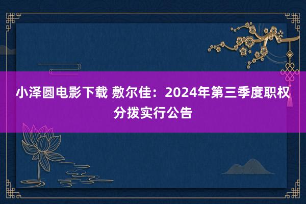 小泽圆电影下载 敷尔佳：2024年第三季度职权分拨实行公告