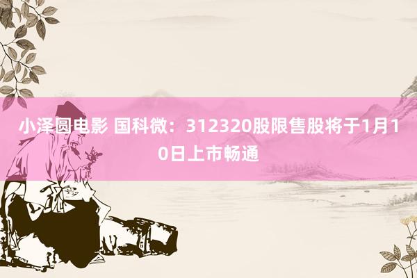 小泽圆电影 国科微：312320股限售股将于1月10日上市畅通