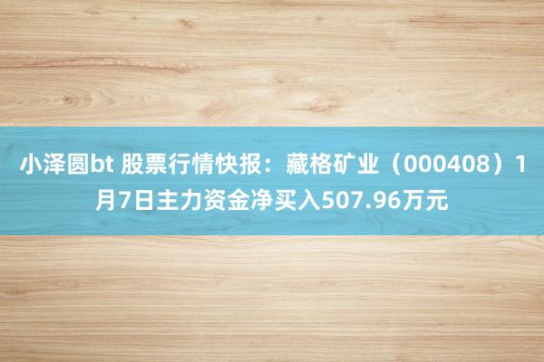 小泽圆bt 股票行情快报：藏格矿业（000408）1月7日主力资金净买入507.96万元