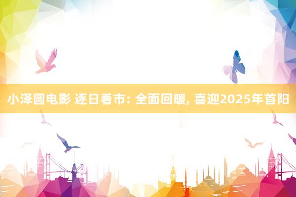 小泽圆电影 逐日看市: 全面回暖， 喜迎2025年首阳
