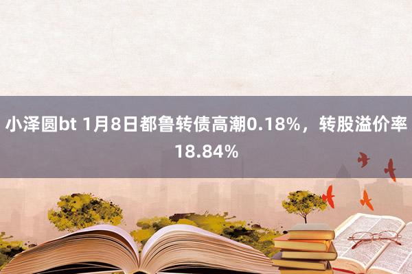 小泽圆bt 1月8日都鲁转债高潮0.18%，转股溢价率18.84%