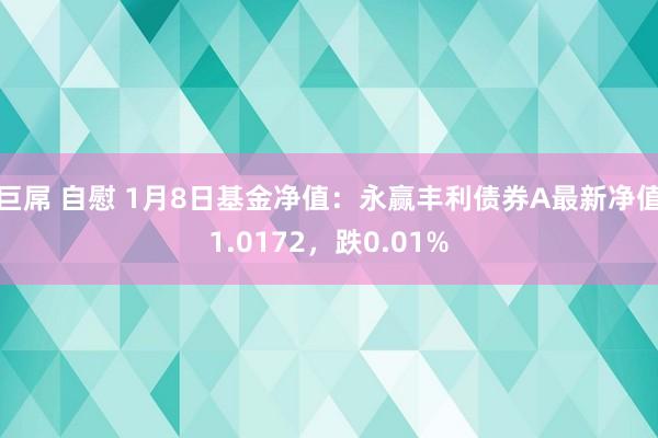 巨屌 自慰 1月8日基金净值：永赢丰利债券A最新净值1.0172，跌0.01%