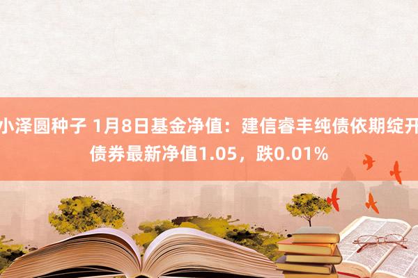 小泽圆种子 1月8日基金净值：建信睿丰纯债依期绽开债券最新净值1.05，跌0.01%