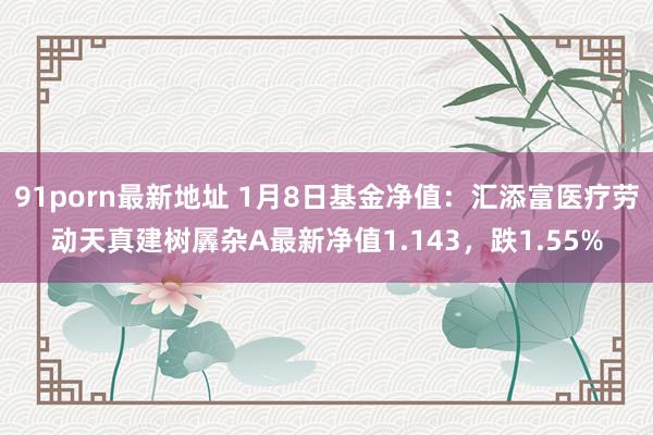 91porn最新地址 1月8日基金净值：汇添富医疗劳动天真建树羼杂A最新净值1.143，跌1.55%