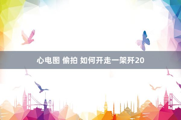 心电图 偷拍 如何开走一架歼20