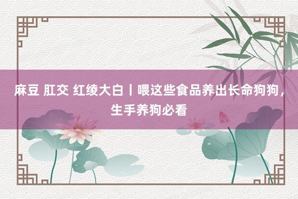 麻豆 肛交 红绫大白丨喂这些食品养出长命狗狗，生手养狗必看